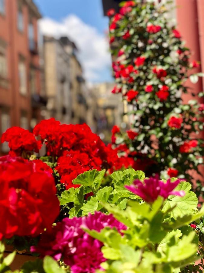 Il Sole Di Montesanto Bed & Breakfast Napoli Dış mekan fotoğraf