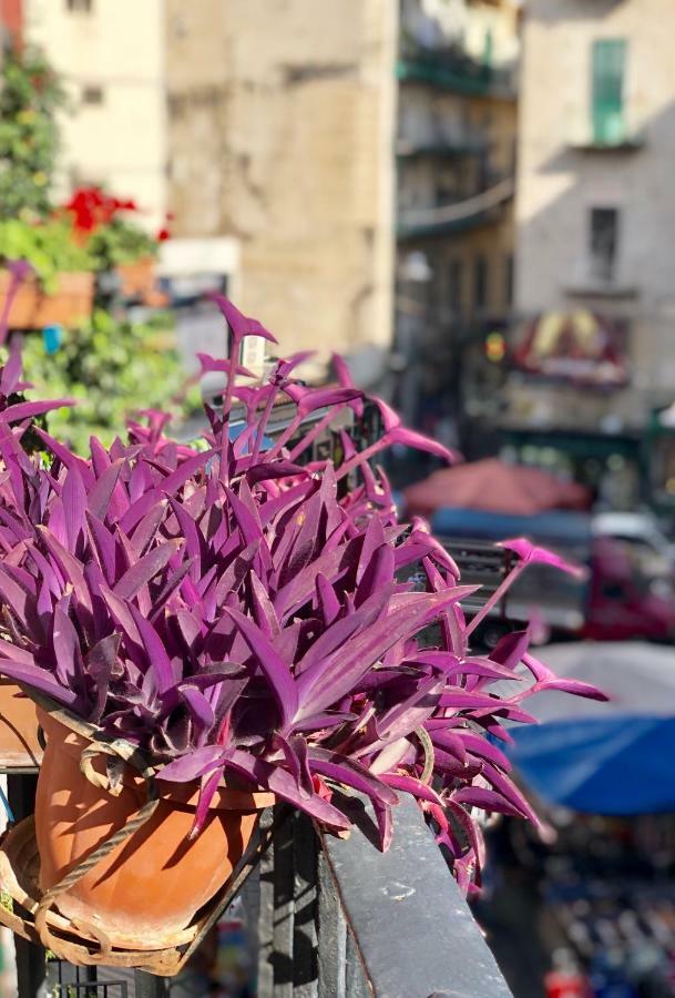 Il Sole Di Montesanto Bed & Breakfast Napoli Dış mekan fotoğraf